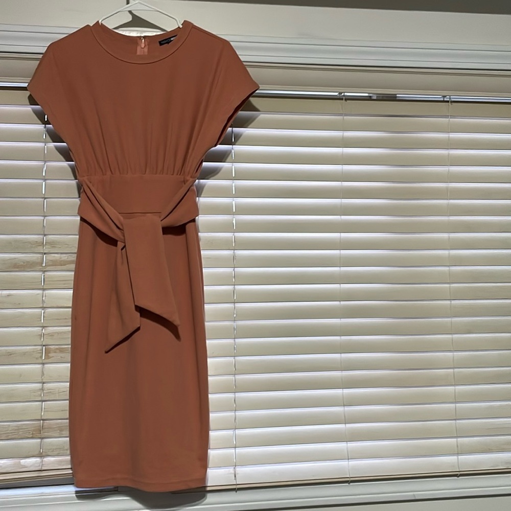 Fashion Nova dress
